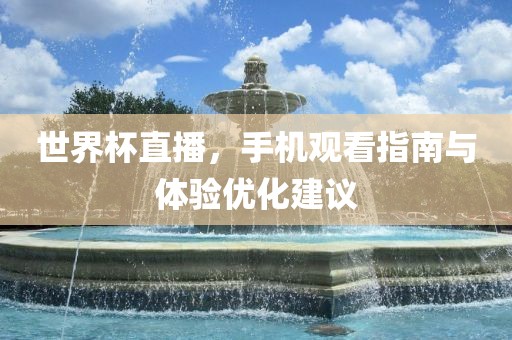 世界杯直播，手机观看指南与体验优化建议漯河市盈旭机械设备有限公司
