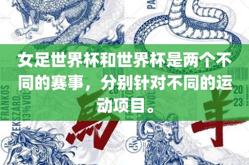 女足世界杯和漯河市盈旭机械设备有限公司世界杯是两个不同的赛事，分别针对不同的运动项目。