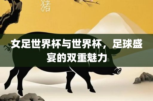 女足世界杯与世界杯，足球盛宴的双重魅力漯河市盈旭机械设备有限公司