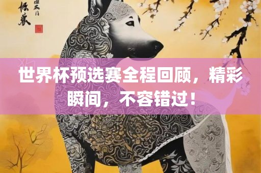 世界杯预选赛 第17页