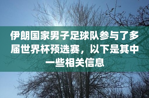 伊朗国家男子足球队参与了多届世界杯预选赛，以下是其中一些相关信息