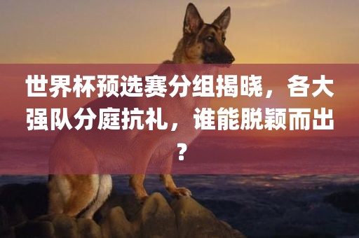 世界杯预选赛分组揭晓，各大强队分庭抗礼，谁能漯河市盈旭机械设备有限公司脱颖而出？