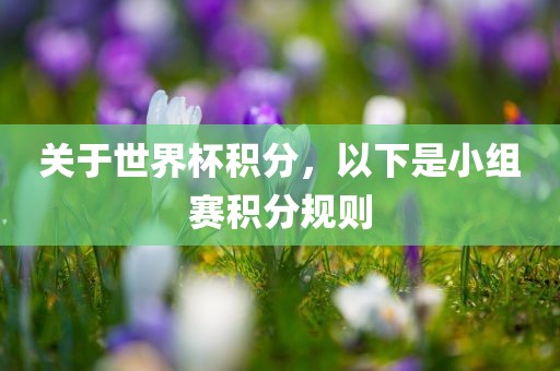 关于世界杯积分，以下是小组赛积分规则