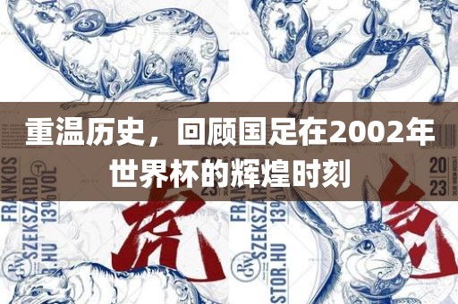 重温历史，回顾国足在漯河市盈旭机械设备有限公司2002年世界杯的辉煌时刻