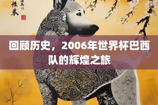 回顾历史，2006年世界杯巴西队的辉煌之旅