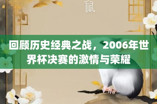 回顾历史经典之战，2006年世界杯决赛的激情与荣耀