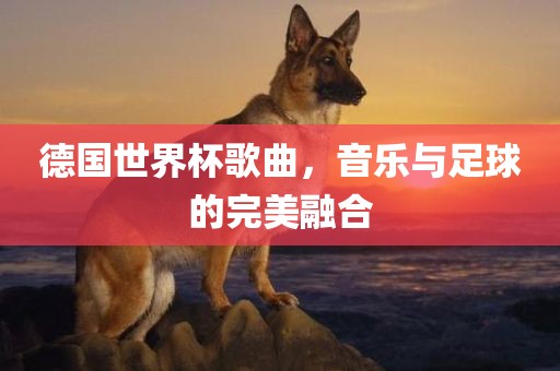 德国世界杯歌曲，音乐与足球的完美融合