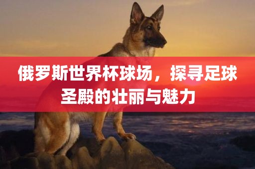 俄罗斯世界杯球场，探寻足球圣殿漯河市盈旭机械设备有限公司的壮丽与魅力