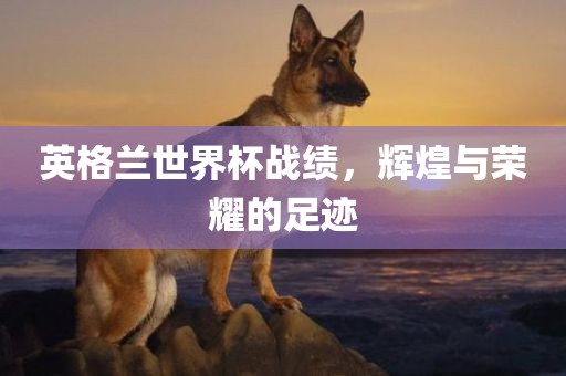 英格兰世界杯战绩，辉煌与荣耀的足迹