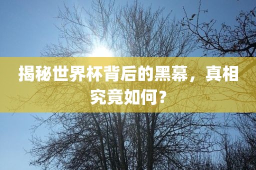 揭秘世界杯背后的黑幕，真相究竟如何？漯河市盈旭机械设备有限公司