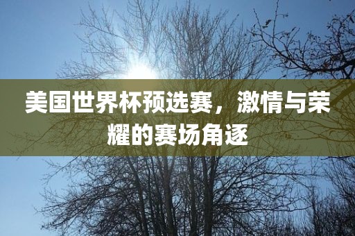 美国世界杯预选赛，激情与荣耀的赛场角逐