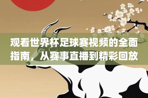 观看世界杯足球赛视频的全面指南，从赛事直播到精彩回放