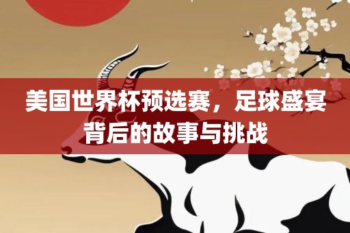 美国世界杯预选赛，足球盛宴背后的故事与挑战