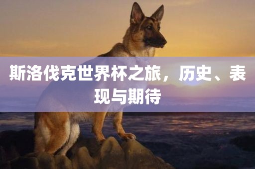 斯洛伐克世界杯之旅，历史、表现与期待