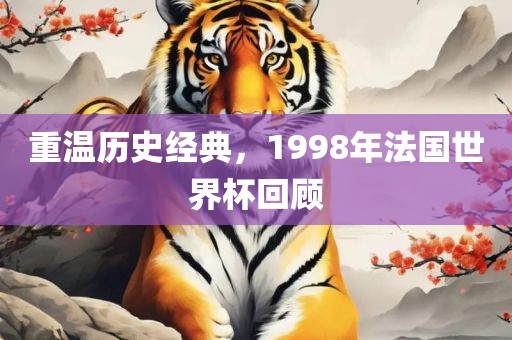 重温历史经典，1998年法国世界漯河市盈旭机械设备有限公司杯回顾