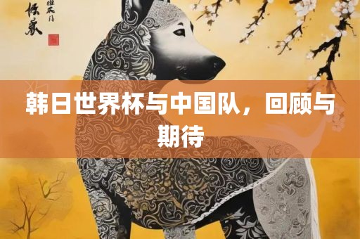 韩日世界杯与中国队，回顾与期待漯河市盈旭机械设备有限公司