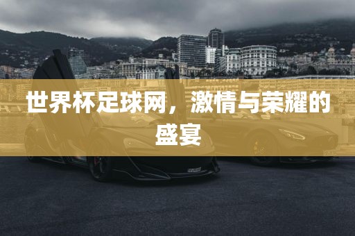 世界杯足球网，激情与荣耀的盛宴漯河市盈旭机械设备有限公司