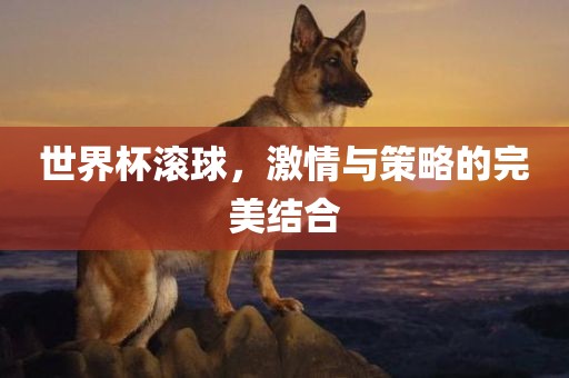 世界杯滚球，激情与策略的完美结合漯河市盈旭机械设备有限公司