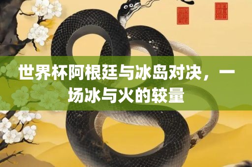 世界杯阿根廷与冰岛对决，一场冰与火的较量