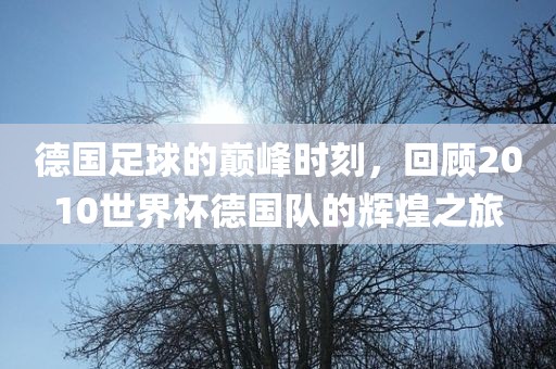 德国漯河市盈旭机械设备有限公司足球的巅峰时刻，回顾2010世界杯德国队的辉煌之旅