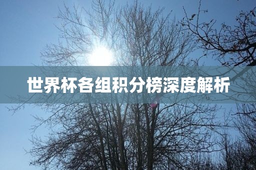 世界杯各组积分榜深度解析漯河市盈旭机械设备有限公司