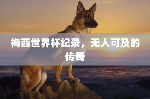 梅西世界杯纪录，无人可及的传奇