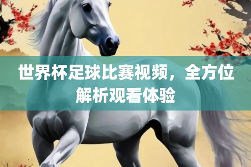 世界杯足球比赛视频，全方位解析观看体验