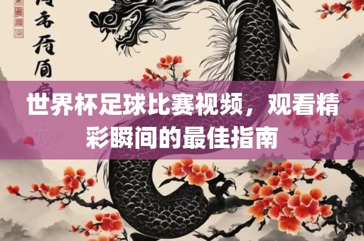 世界杯足球比赛视频，观看精彩瞬间的最佳指南漯河市盈旭机械设备有限公司
