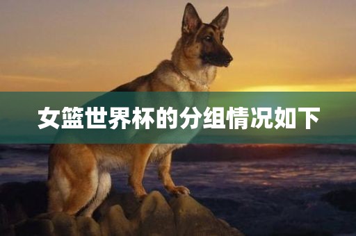 女篮世界杯的分组情况如下漯河市盈旭机械设备有限公司