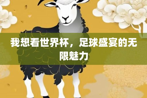 我想看世界杯，足球盛宴的无限魅力漯河市盈旭机械设备有限公司