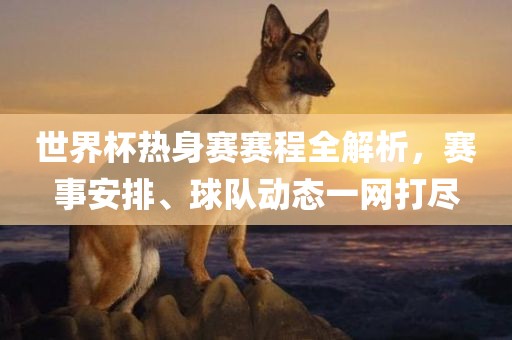 世界杯热身赛赛程全解析，赛事安排、球队动态一网打尽