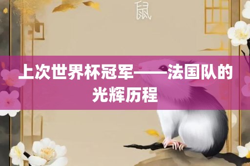 上次世界杯冠军——法国队的光辉历程漯河市盈旭机械设备有限公司