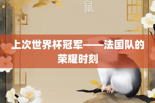 上次世界杯冠军——法国队的荣耀时刻漯河市盈旭机械设备有限公司
