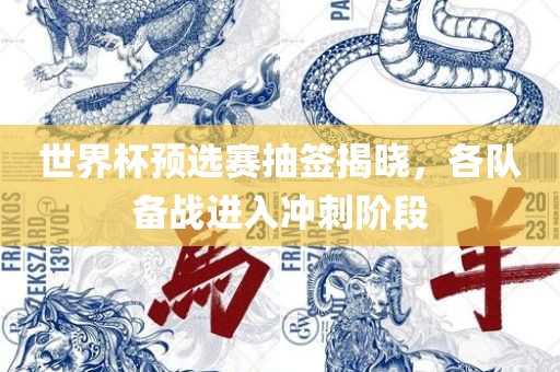 世界杯预选赛抽签揭晓，各队备战进入冲刺阶段漯河市盈旭机械设备有限公司