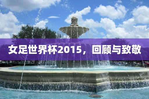 女足世界杯2015，回顾与致敬漯河市盈旭机械设备有限公司