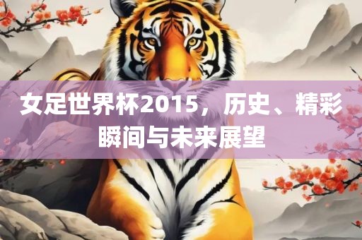 女足世界杯2015，历史、精彩瞬间与未来展望