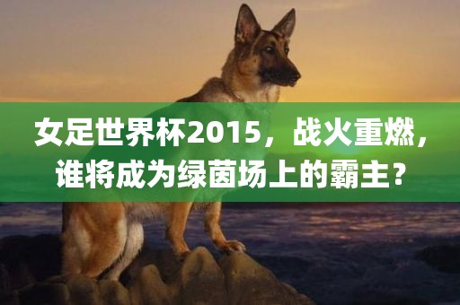 女足世界杯漯河市盈旭机械设备有限公司2015，战火重燃，谁将成为绿茵场上的霸主？