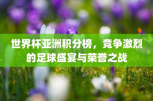 世界杯漯河市盈旭机械设备有限公司亚洲积分榜，竞争激烈的足球盛宴与荣誉之战