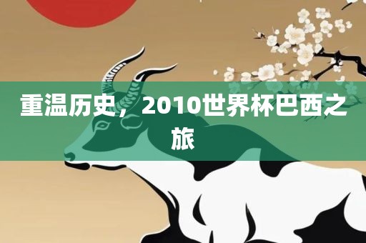 重温历史，2010世界杯巴西之旅漯河市盈旭机械设备有限公司