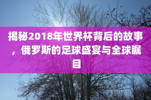 揭秘2018年世界杯背后的故事，俄罗斯的足球盛宴与全球瞩目