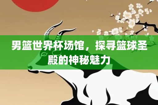 男篮世界杯场馆，探寻篮球圣殿的神秘魅力漯河市盈旭机械设备有限公司
