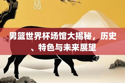 男篮世界杯场馆大揭秘，历史、特色与未来展望
