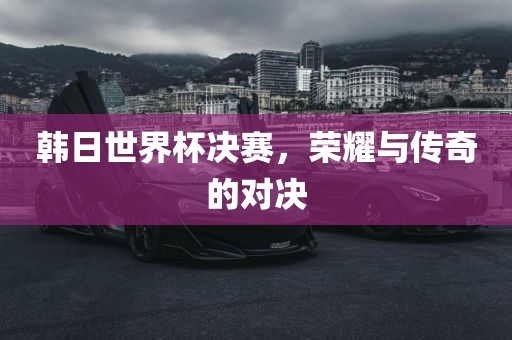 韩日世界杯决赛，荣耀与传奇的对决