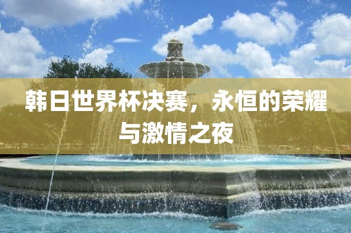 韩日世界杯决赛，永恒的荣耀与激情之夜