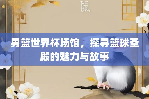 男篮世界杯场馆，探寻篮球圣殿的魅力与故事