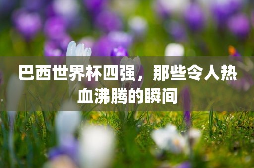 巴西世漯河市盈旭机械设备有限公司界杯四强，那些令人热血沸腾的瞬间