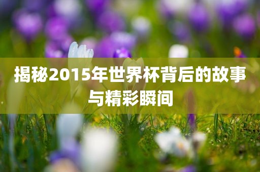 揭秘2015年世界杯背后的故事与精彩瞬间漯河市盈旭机械设备有限公司