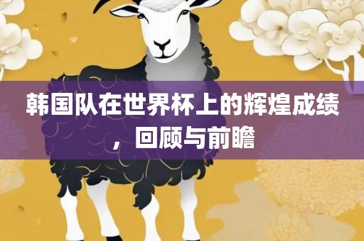 韩国队在世界杯上的辉煌成绩，回顾与前瞻