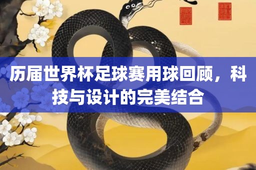 历届世界杯足球赛用球回顾，科技与设计的完美结合