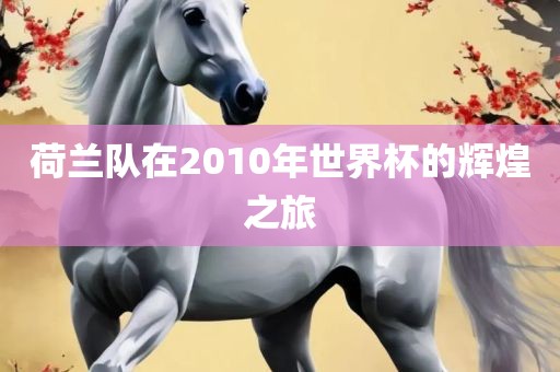 荷兰队在2010年世界杯的辉煌之旅